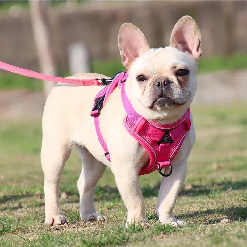 No-Pull Reflective Dog Harness & Leash Set